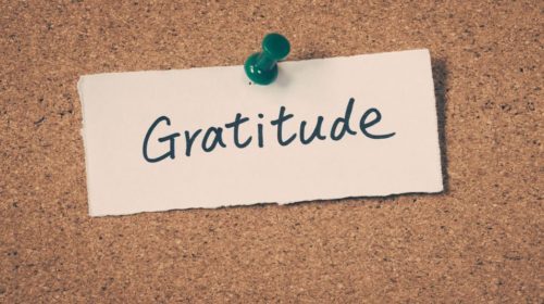 Let's Talk About Gratitude